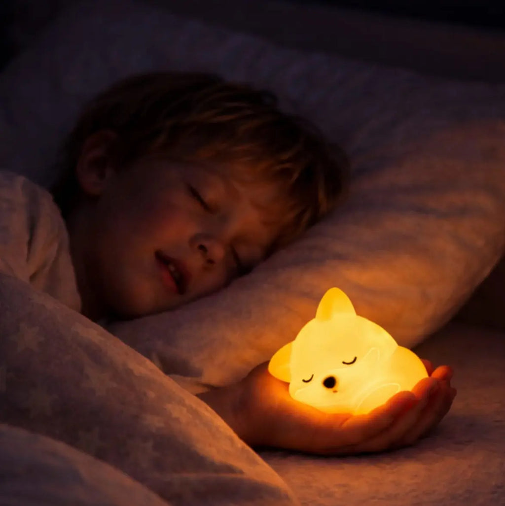 Compagnon de Nuit "Renardeau" La boutique Arc-en-Nuit